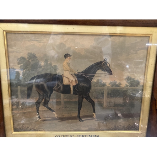 68 - A VINTAGE FRAMED PRINT OF A RACEHORSE, 'THE QUEEN OF TRUMPS'