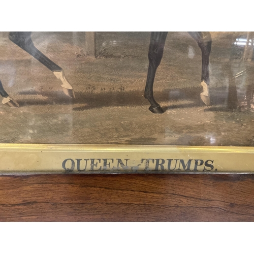 68 - A VINTAGE FRAMED PRINT OF A RACEHORSE, 'THE QUEEN OF TRUMPS'