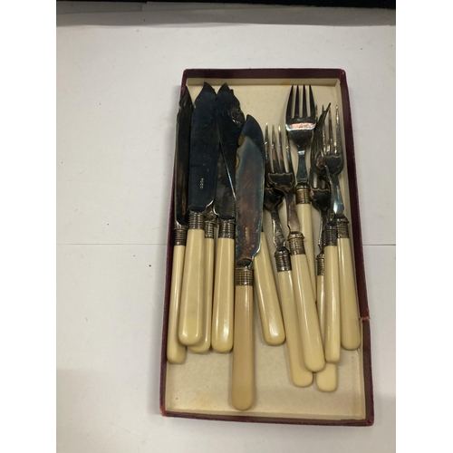 83 - SIX VINTAGE FISH KNIVES SIX FORKS WITH HALLMARKED SHEFFIELD COLLARS