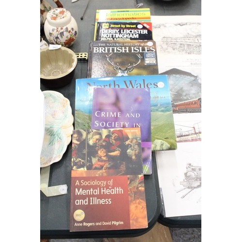 261 - A QUANTITY OF BOOKS TO INCLUDE 'A SOCIOLOGY OF MENTAL HEALTH AND ILLNESS', 'NORTH WALES PANORAMAS', ... 