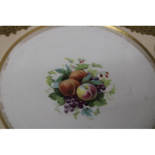 264 - A HANDPAINTED CHINA CABINET PLATE