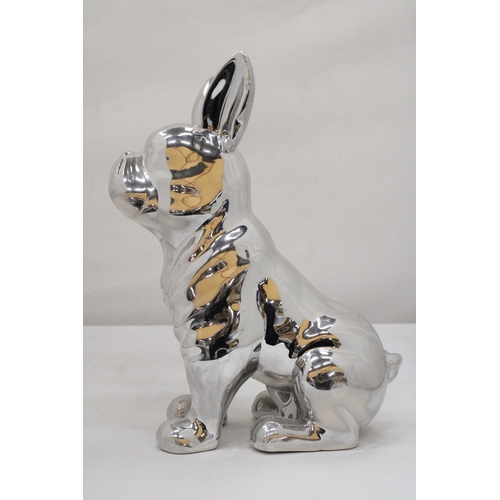 135 - A LARGE CHROME BULLDOG, HEIGHT 29CM