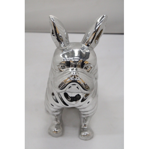 135 - A LARGE CHROME BULLDOG, HEIGHT 29CM