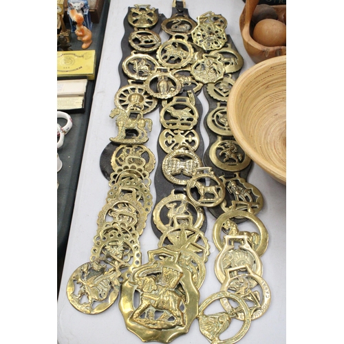 141 - A LARGE COLLECTION OF HORSE BRASSES, SOME ON MARTINGALES