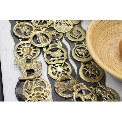 141 - A LARGE COLLECTION OF HORSE BRASSES, SOME ON MARTINGALES