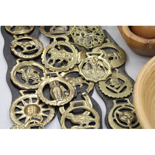 141 - A LARGE COLLECTION OF HORSE BRASSES, SOME ON MARTINGALES