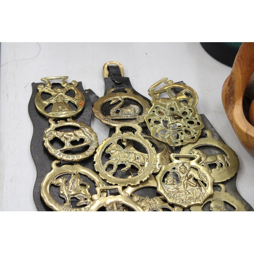 141 - A LARGE COLLECTION OF HORSE BRASSES, SOME ON MARTINGALES