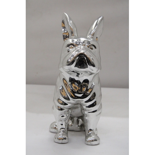 180 - A LARGE SITTING CHROME BULLDOG - 30 CM