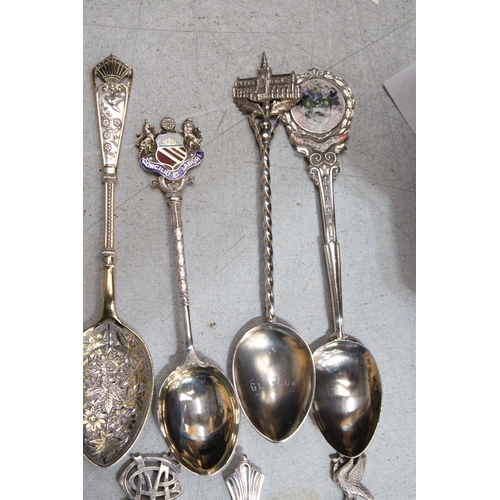 54 - SEVERAL HALLMARKED BIRMINGHAM SOUVENIR SPOONS TO ALSO INCLUDE TWO HALLMARKED SHEFFIELD AND ONE CHEST... 