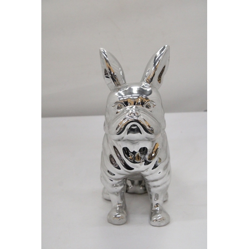 135 - A LARGE CHROME BULLDOG, HEIGHT 29CM