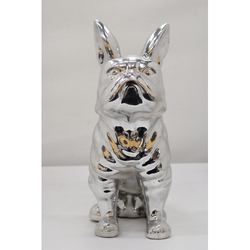 135 - A LARGE CHROME BULLDOG, HEIGHT 29CM