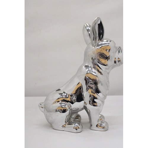 135 - A LARGE CHROME BULLDOG, HEIGHT 29CM