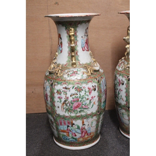 337 - A PAIR OF 19TH CENTURY CHINESE CANTON FAMILLE ROSE PORCELAIN VASES WITH BUDDHIST LION HANDLES AND GO... 