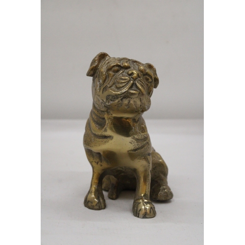 123 - A SITTING BRASS BULLDOG APPROXIMATELY 17CM X 17CM