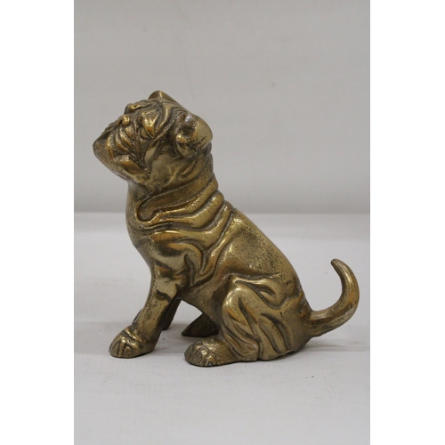 123 - A SITTING BRASS BULLDOG APPROXIMATELY 17CM X 17CM