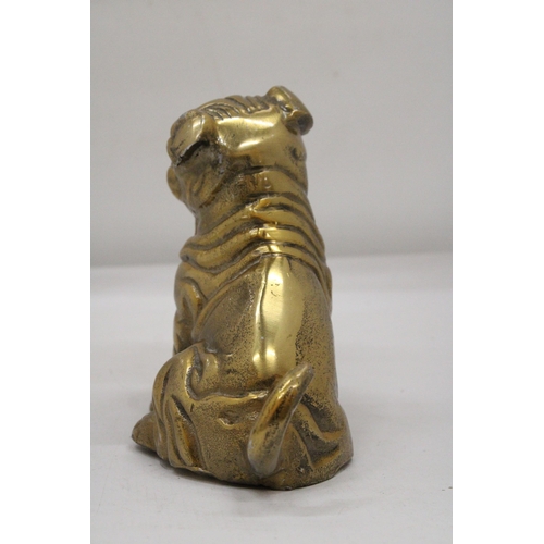 123 - A SITTING BRASS BULLDOG APPROXIMATELY 17CM X 17CM