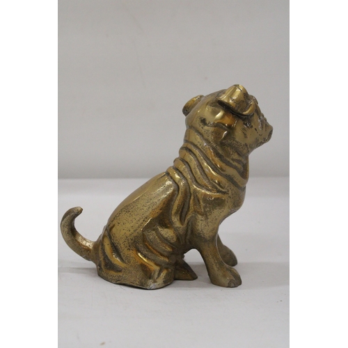 123 - A SITTING BRASS BULLDOG APPROXIMATELY 17CM X 17CM