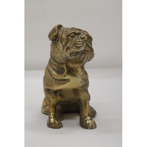 123 - A SITTING BRASS BULLDOG APPROXIMATELY 17CM X 17CM