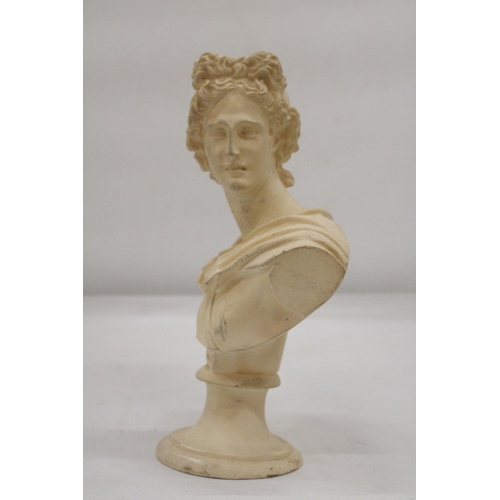 132 - A GREEK BUST ON PLINTH - APPROXIMATELY 25CM