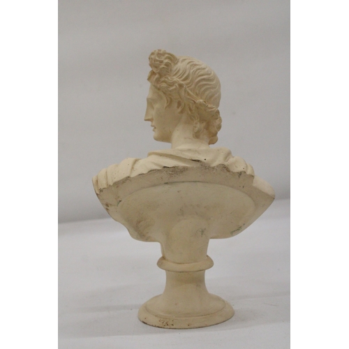 132 - A GREEK BUST ON PLINTH - APPROXIMATELY 25CM