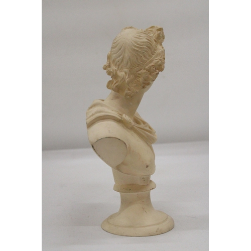 132 - A GREEK BUST ON PLINTH - APPROXIMATELY 25CM