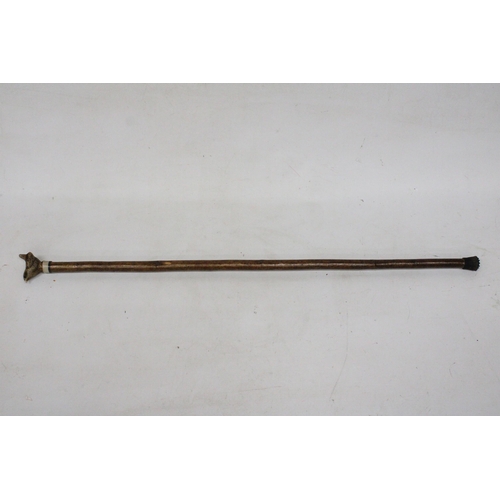 21 - A WALKING STICK WITH A WREN FINIAL