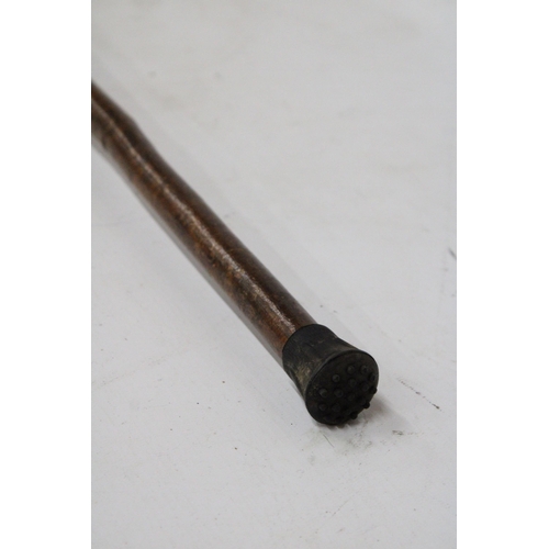 21 - A WALKING STICK WITH A WREN FINIAL