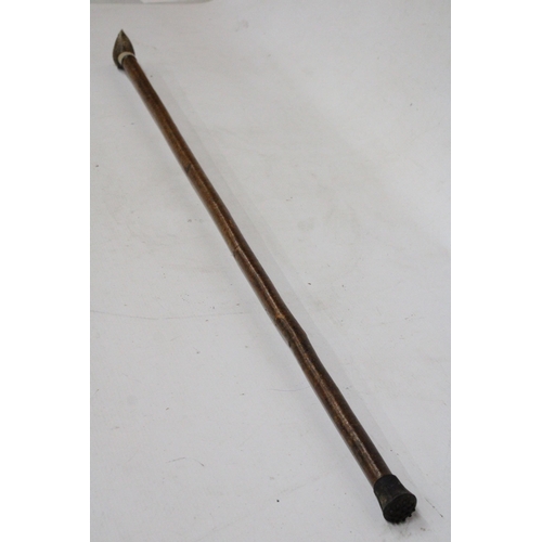 21 - A WALKING STICK WITH A WREN FINIAL