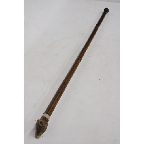 21 - A WALKING STICK WITH A WREN FINIAL