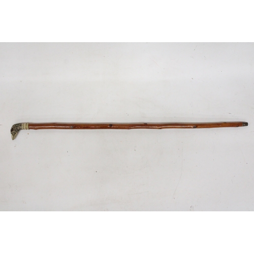 23 - A WALKING CANE WITH A SILVER FINIAL