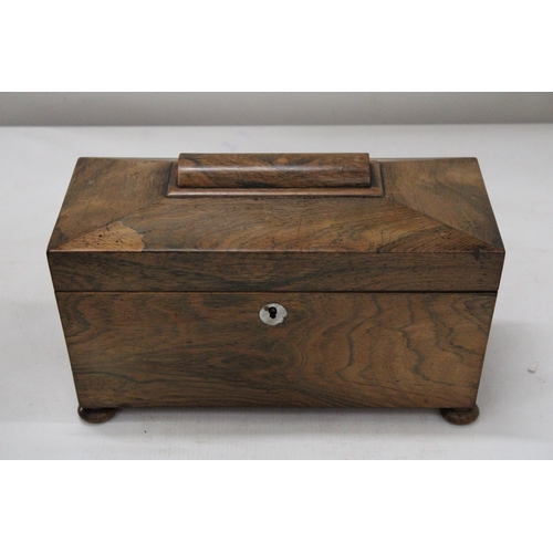 26 - A REGENCY ROSEWOOD SARCOPHAGUS SHAPED TEA CADDY WITH HINGED LID ON BUN FEET