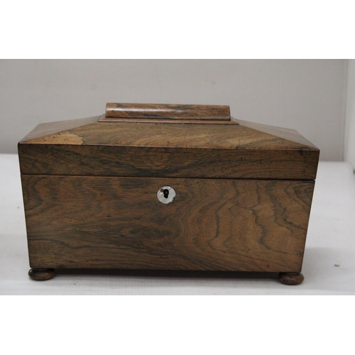 26 - A REGENCY ROSEWOOD SARCOPHAGUS SHAPED TEA CADDY WITH HINGED LID ON BUN FEET