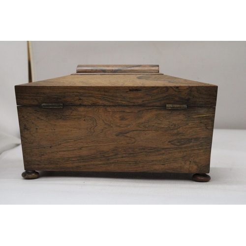 26 - A REGENCY ROSEWOOD SARCOPHAGUS SHAPED TEA CADDY WITH HINGED LID ON BUN FEET