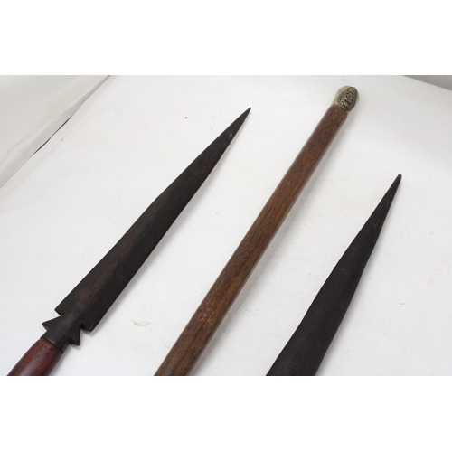 39 - A MILITARY SWAGGER STICK WITH TWO AFRICAN SPEARS