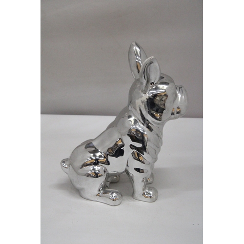 162 - A LARGE CHROME BULLDOG, HEIGHT 29CM