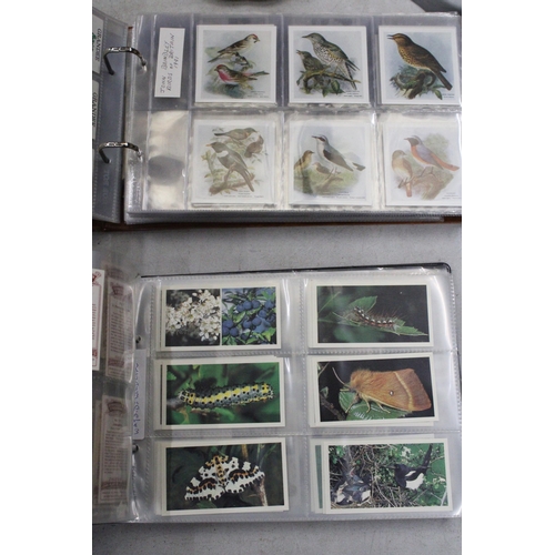 181 - TWO ALBUMS FULL OF CIGARETTE CARDS