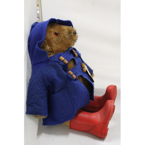 202 - A PADDINGTON TEDDY BEAR