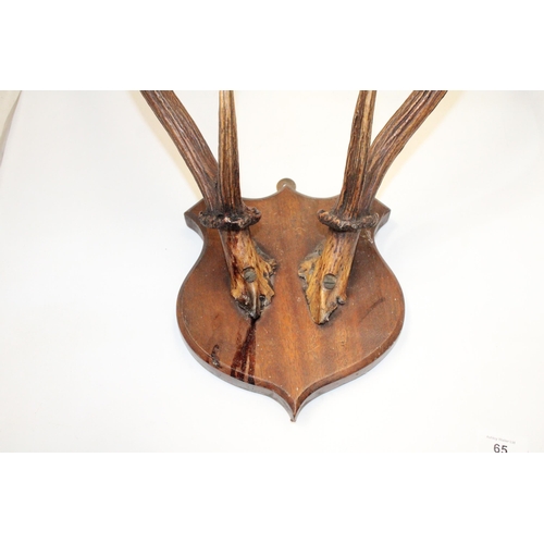 65 - A PAIR OF SIKA STAG ANTLERS ON A WOODEN SHIELD