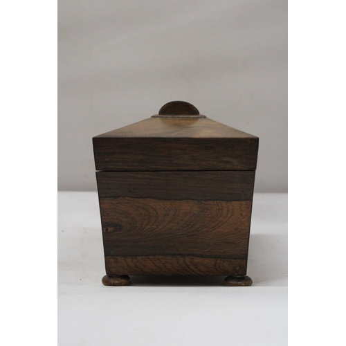 26 - A REGENCY ROSEWOOD SARCOPHAGUS SHAPED TEA CADDY WITH HINGED LID ON BUN FEET