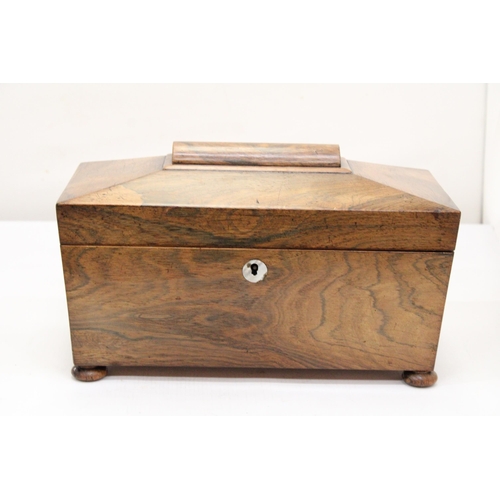 263 - A REGENCY ROSEWOOD SARCOPHAGUS SHAPED TEA CADDY WITH HINGED LID ON BUN FEET