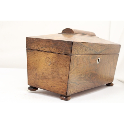 263 - A REGENCY ROSEWOOD SARCOPHAGUS SHAPED TEA CADDY WITH HINGED LID ON BUN FEET