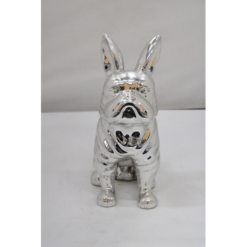 127 - A LARGE SITTING CHROME BULLDOG - 30 CM