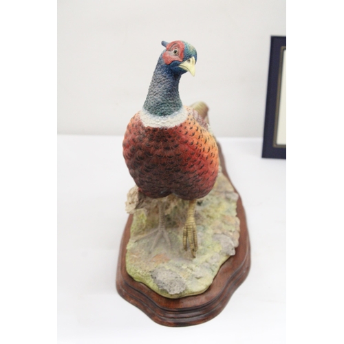 15 - A BORDER FINE ARTS SCULPTURE OF AN OLD ENGLISH PHEASANT 