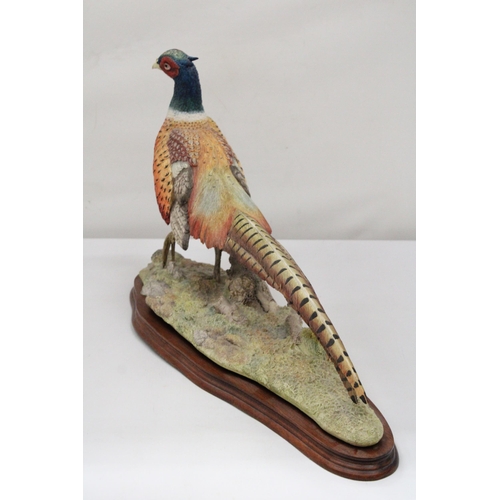 15 - A BORDER FINE ARTS SCULPTURE OF AN OLD ENGLISH PHEASANT 