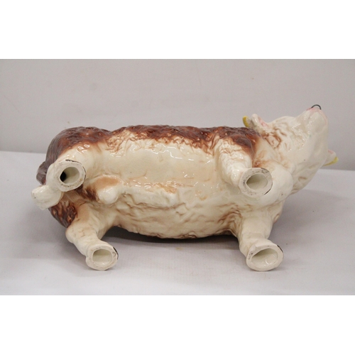 21 - A LARGE PORCELAIN BUTCHERS SHOP DISPLAY BULL WITH NOSE RING