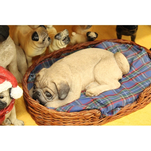 344 - A COLLECTION OF 12 PUG DOG MODELS