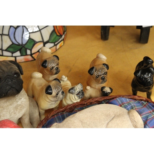 344 - A COLLECTION OF 12 PUG DOG MODELS