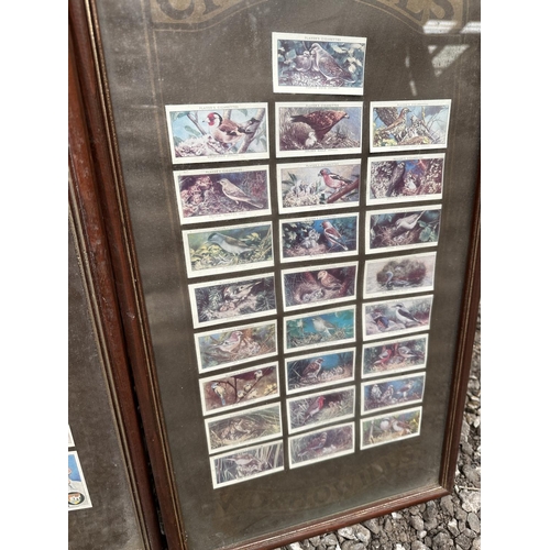 3558 - TWO FRAMED SETS OF WILLS'S CIGARETTE CARDS