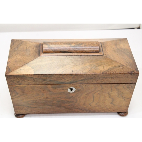 263 - A REGENCY ROSEWOOD SARCOPHAGUS SHAPED TEA CADDY WITH HINGED LID ON BUN FEET