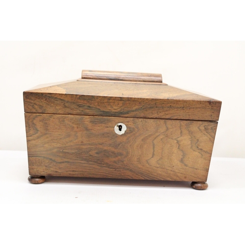 263 - A REGENCY ROSEWOOD SARCOPHAGUS SHAPED TEA CADDY WITH HINGED LID ON BUN FEET